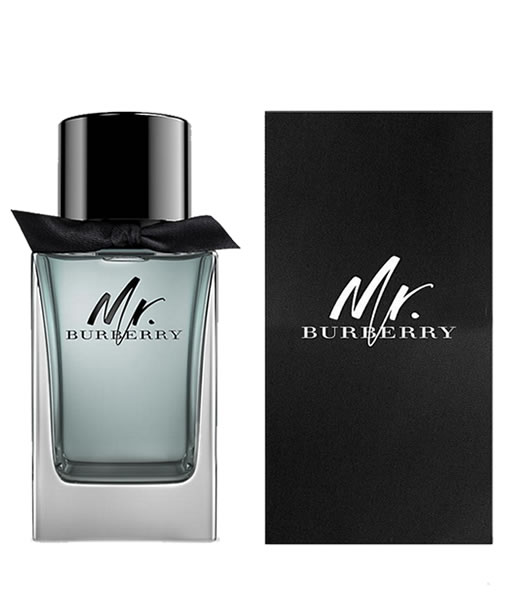 burberry mr burberry edp