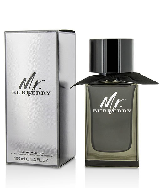 burberry mr burberry edp