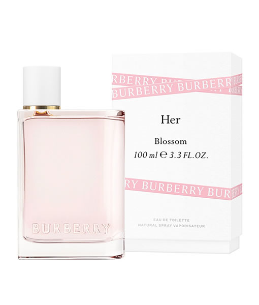 burberry her fragrance notes