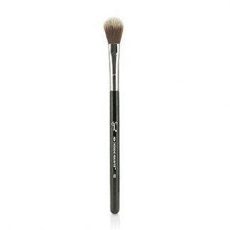 Sigma Beauty F03 High Cheekbone Highlighter Brush  -